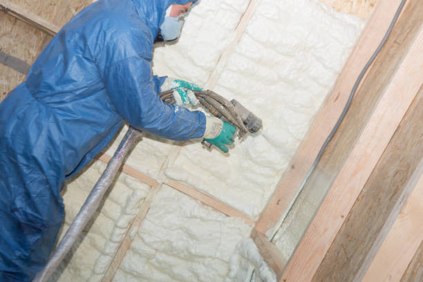 Best Crawl Space Insulation  in Kyle, SD